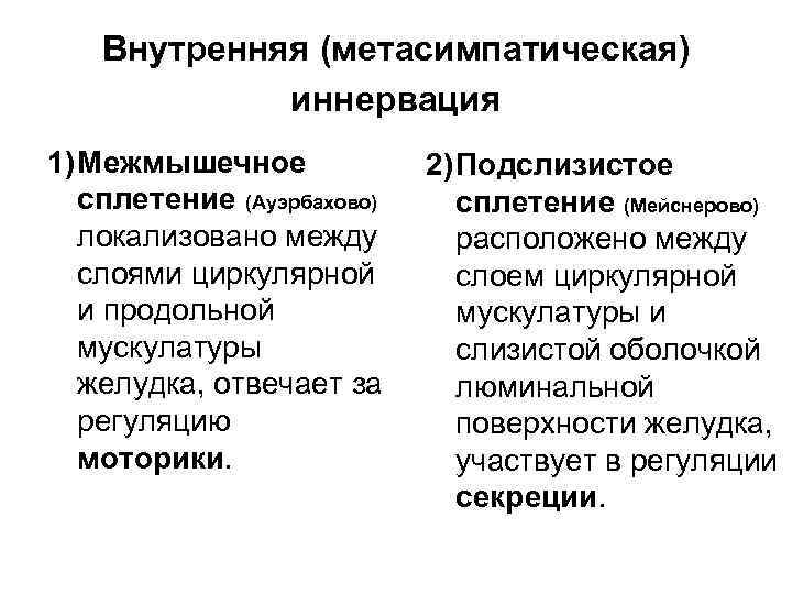 Внутренняя (метасимпатическая) иннервация 1)Межмышечное сплетение (Ауэрбахово) локализовано между слоями циркулярной и продольной мускулатуры желудка,