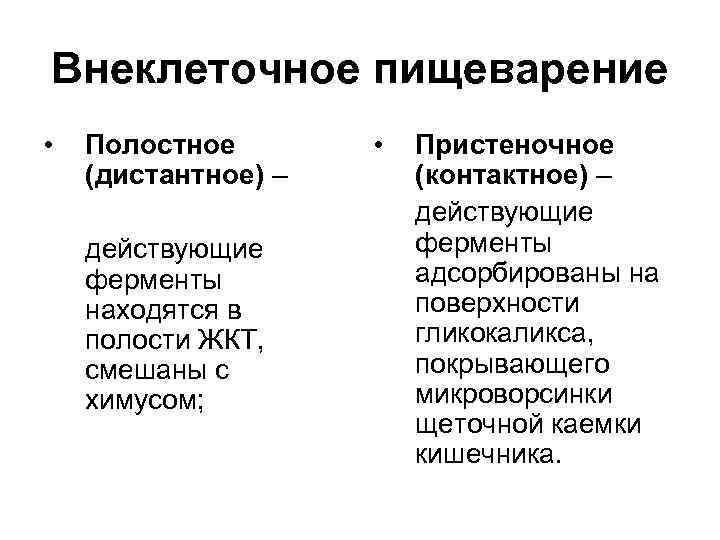 Внеклеточное пищеварение • Полостное (дистантное) – действующие ферменты находятся в полости ЖКТ, смешаны с