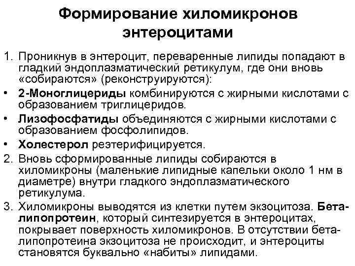 Формирование хиломикронов энтероцитами 1. Проникнув в энтероцит, переваренные липиды попадают в гладкий эндоплазматический ретикулум,