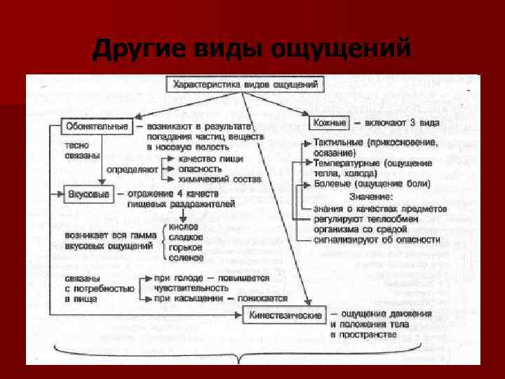 3 общая характеристика ощущений. Характеристика тепловых ощущений. Характеристика ощущение боли. Чувства первого порядка. Укажите вид ощущения возникающий при двигательных.