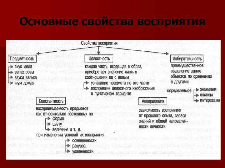 Основные свойства восприятия 