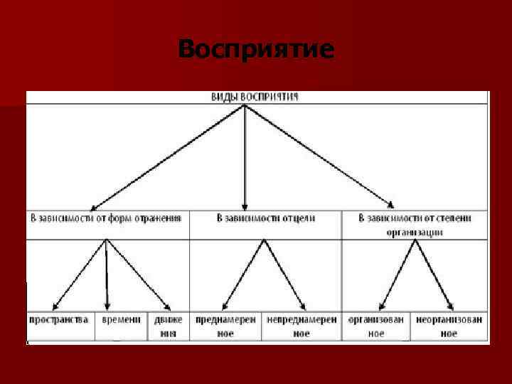 Восприятие 