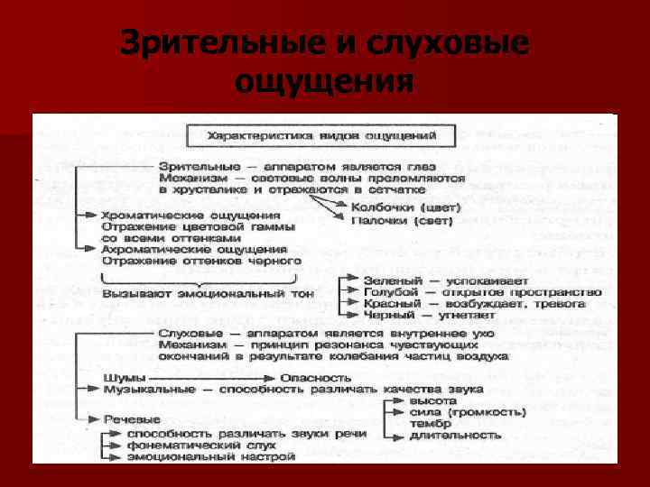 Зрительные и слуховые ощущения 