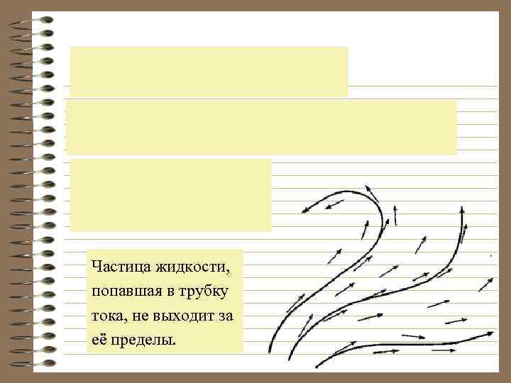 Частица жидкости, попавшая в трубку тока, не выходит за её пределы. 