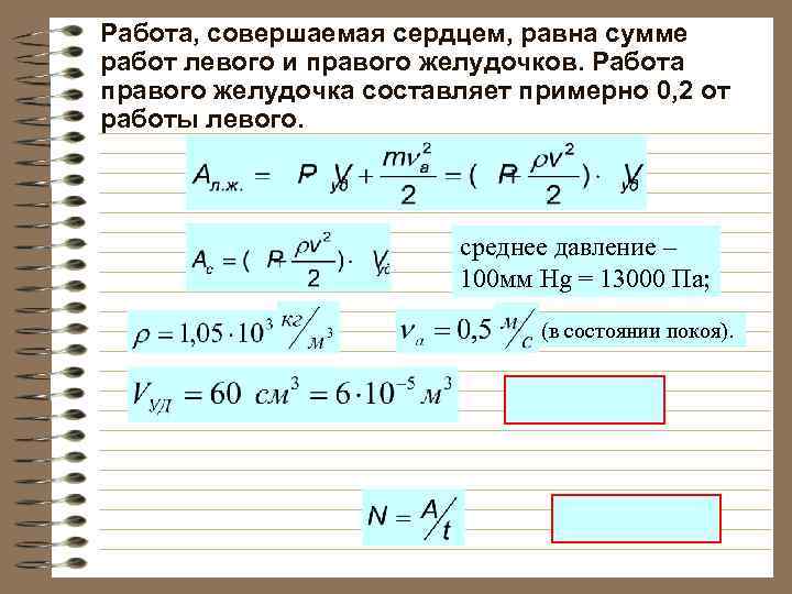 Работа, совершаемая сердцем, равна сумме работ левого и правого желудочков. Работа правого желудочка составляет