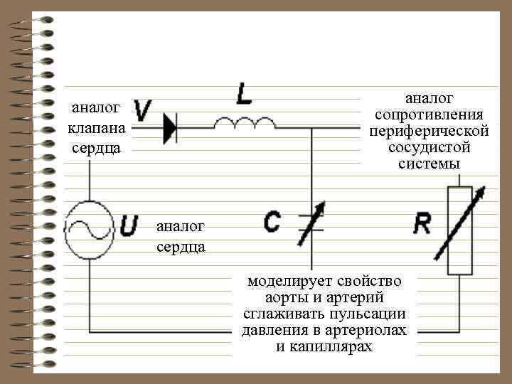 аналог сопротивления периферической сосудистой системы аналог клапана сердца аналог сердца моделирует свойство аорты и