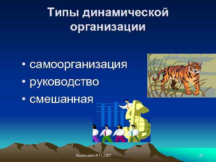 Типы динамической организации • самоорганизация • руководство • смешанная Воронцова И. П. , 2007