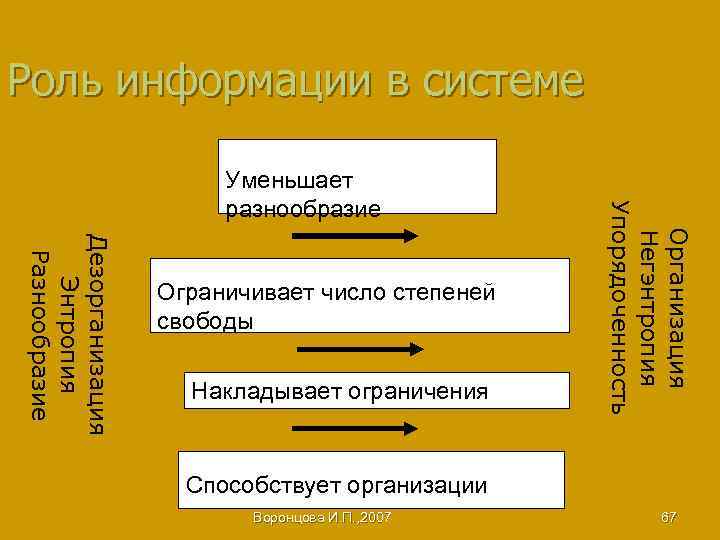 Роль информации в системе Дезорганизация Энтропия Разнообразие Ограничивает число степеней свободы Накладывает ограничения Организация