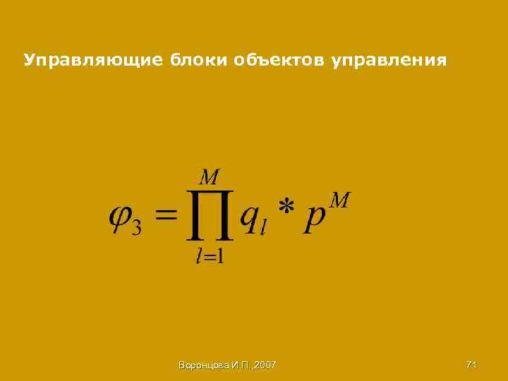 Управляющие блоки объектов управления Воронцова И. П. , 2007 71 