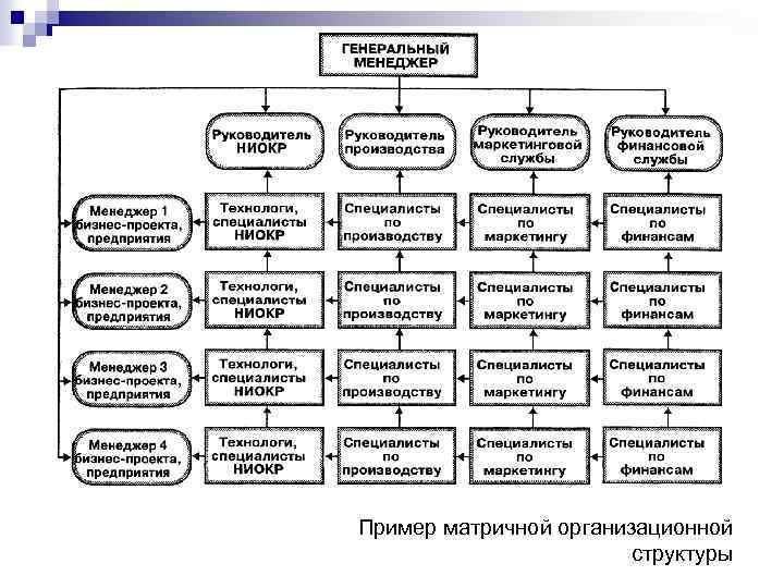 Пример матричной организационной структуры 