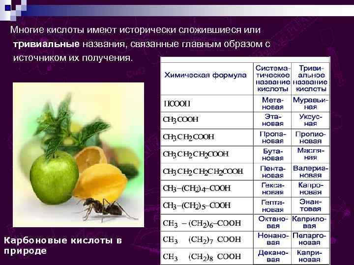  Многие кислоты имеют исторически сложившиеся или тривиальные названия, связанные главным образом с источником