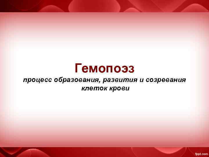 Гемопоэз процесс образования, развития и созревания клеток крови 