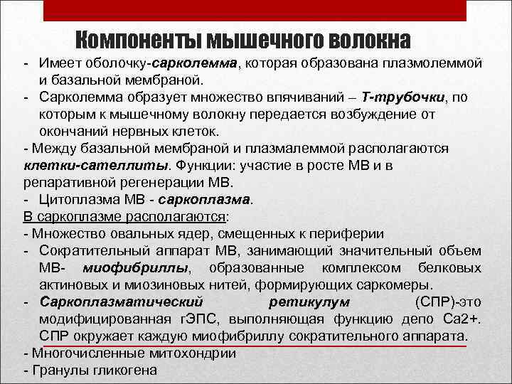 Отделы мышечной системы. Строение скелетной мышцы. Компоненты мышц. Строение мышц поперечный разрез. Компоненты мышц.