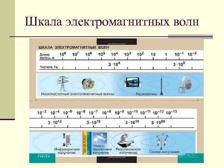 На рисунке изображена шкала электромагнитных волн используя шкалу выберите из предложенного перечня