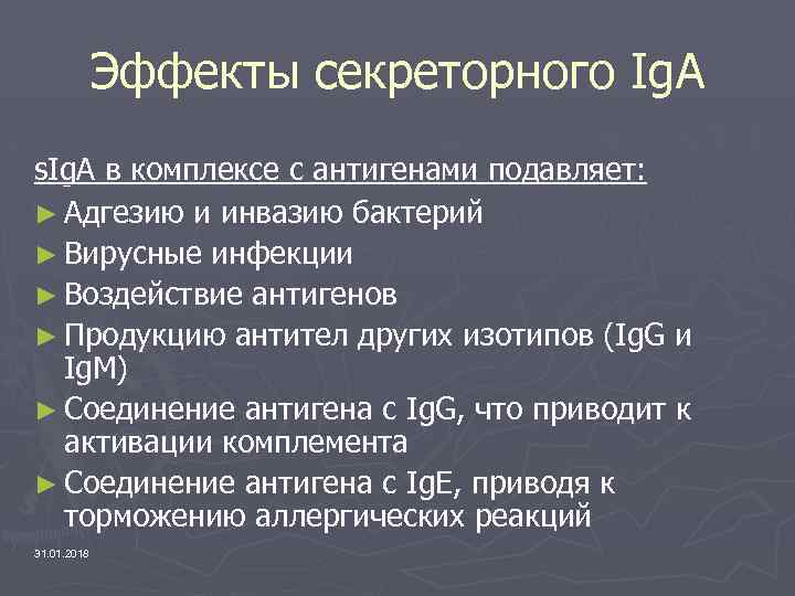 Эффекты секреторного Ig. A s. Ig. A в комплексе с антигенами подавляет: ► Адгезию