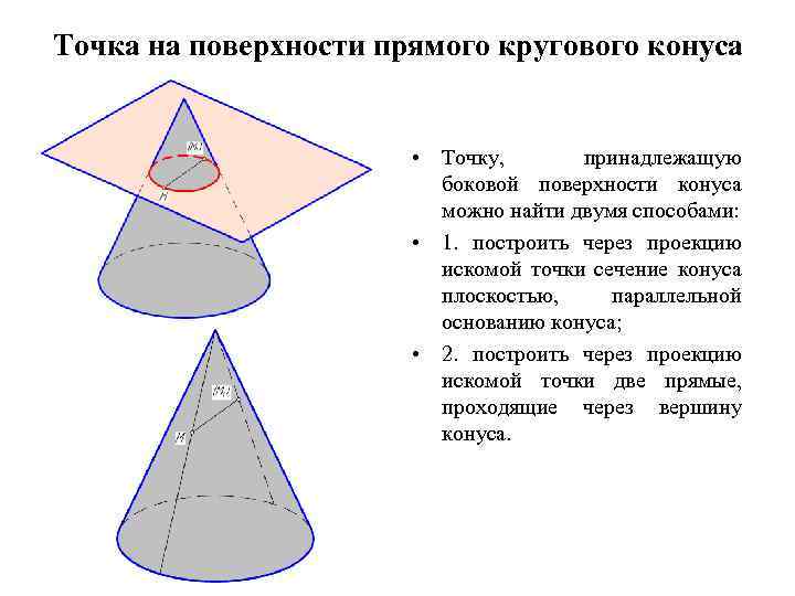 Точка на поверхности прямого кругового конуса • Точку, принадлежащую боковой поверхности конуса можно найти