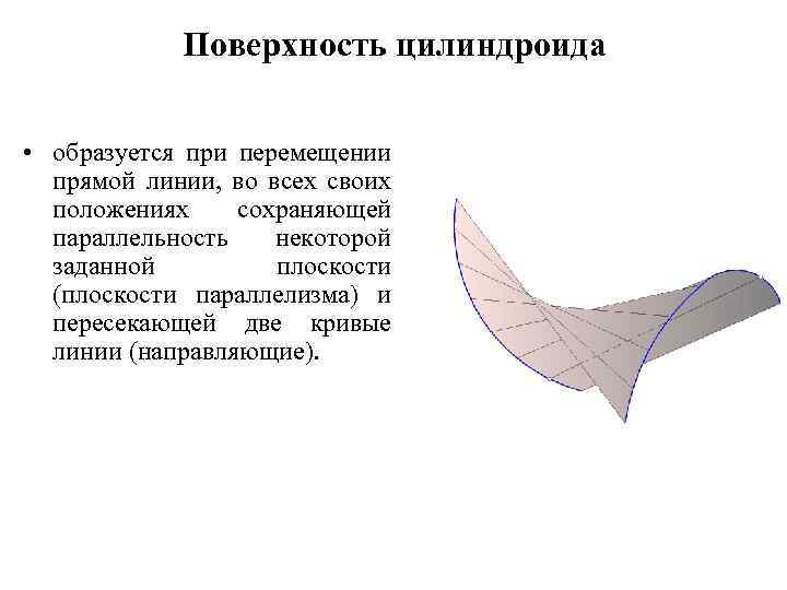 Какой тип развития характерен для клопа щитника линейчатого изображенного на рисунке