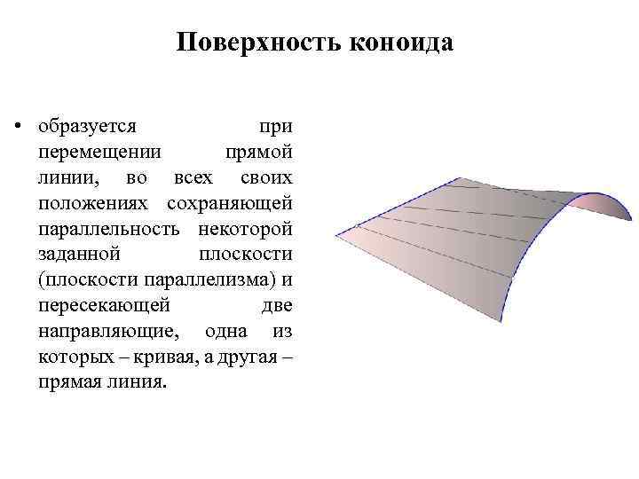 Какой тип развития характерен для клопа щитника линейчатого изображенного на рисунке