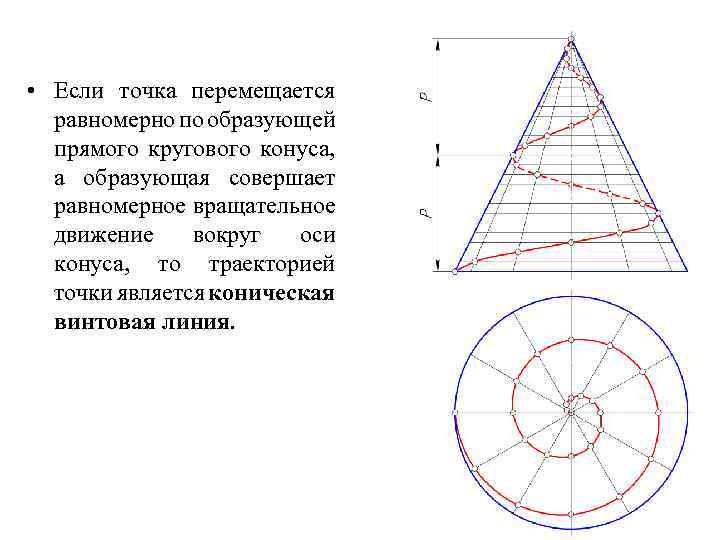  • Если точка перемещается равномерно по образующей прямого кругового конуса, а образующая совершает