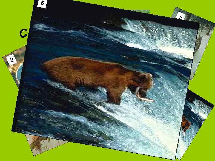 6 1 3 2 Сыт бываю только летом, В час, когда малину рву. 4