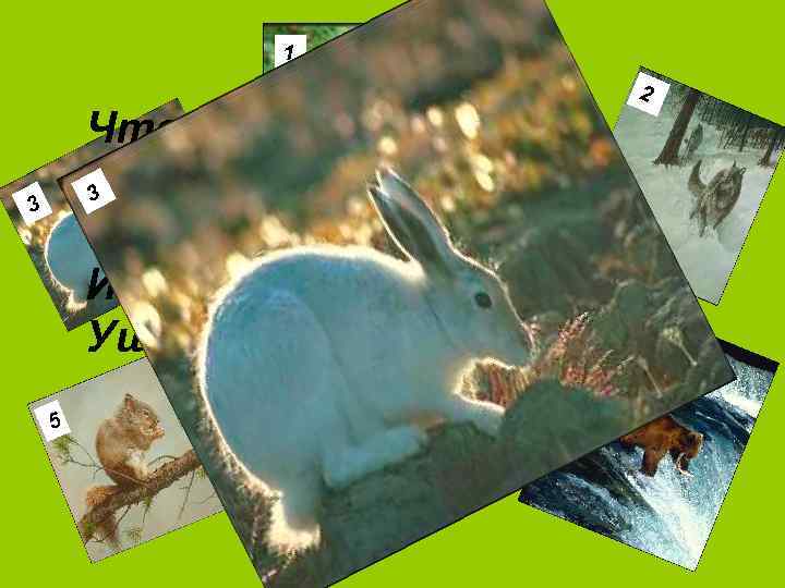 1 2 Что за зверь лесной, Встал, как столбик под 3 сосной. И стоит