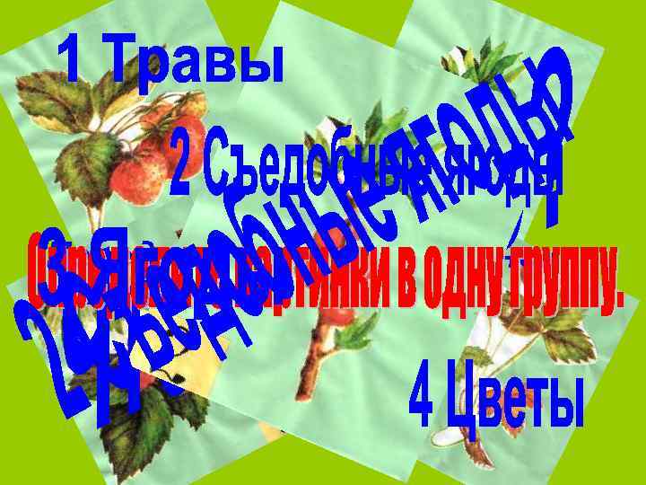 Перед вами набор картинок 