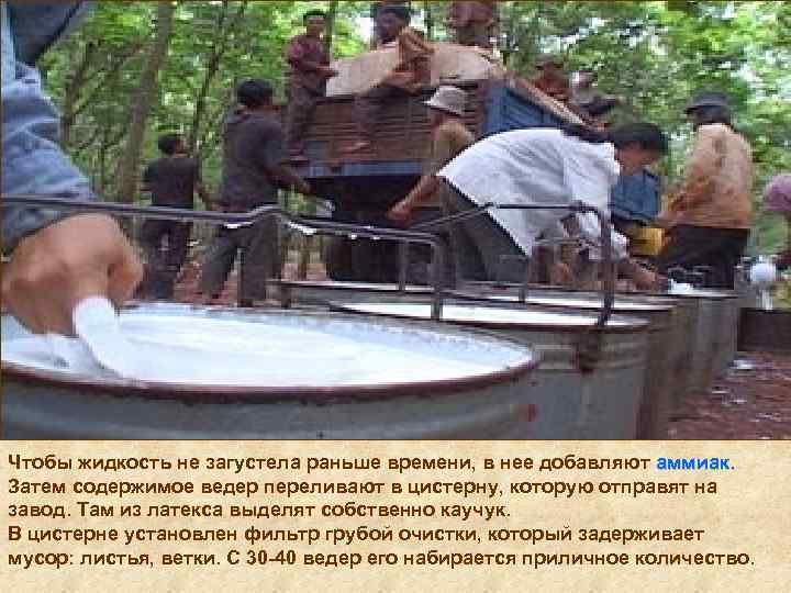 Чтобы жидкость не загустела раньше времени, в нее добавляют аммиак. Затем содержимое ведер переливают