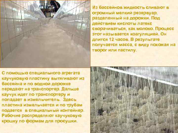 Из бассейнов жидкость сливают в огромный мелкий резервуар, разделенный на дорожки. Под действием кислоты