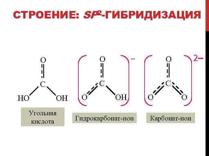 Строение кислот. Электронное строение угольной кислоты. Сп2 гибридизация в карбоновых кислотах. Муравьиная кислота sp3 гибридизация. Щавелевая кислота Тип гибридизации.