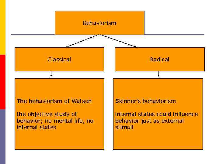 Behaviorism Classical Radical The behaviorism of Watson Skinner’s behaviorism the objective study of behavior;