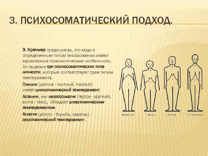 3. ПСИХОСОМАТИЧЕСКИЙ ПОДХОД. Э. Кречмер предполагал, что люди с определенным типом телосложения имеют характерные