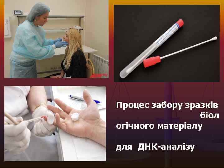 Процес забору зразків біол огічного матеріалу для ДНК-аналізу 