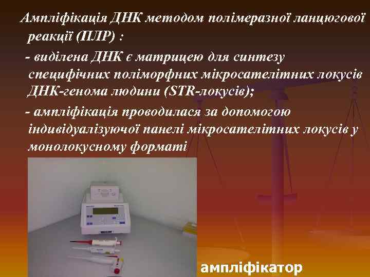  Ампліфікація ДНК методом полімеразної ланцюгової реакції (ПЛР) : - виділена ДНК є матрицею