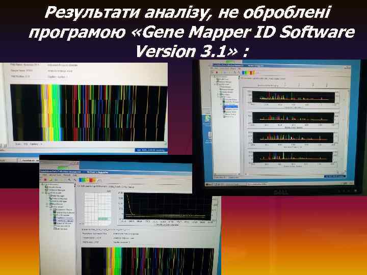  Результати аналізу, не оброблені програмою «Gene Mapper ID Software Version 3. 1» :
