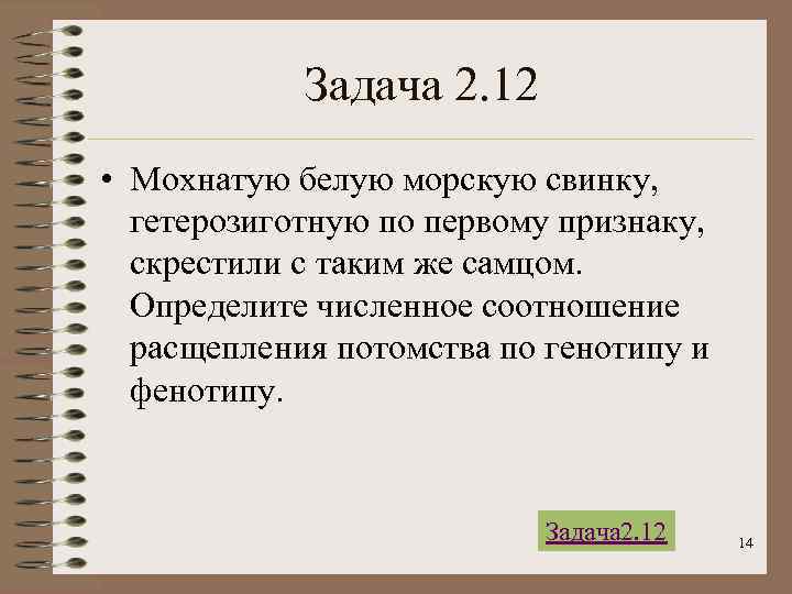Задача 2. 12 • Мохнатую белую морскую свинку, гетерозиготную по первому признаку, скрестили с