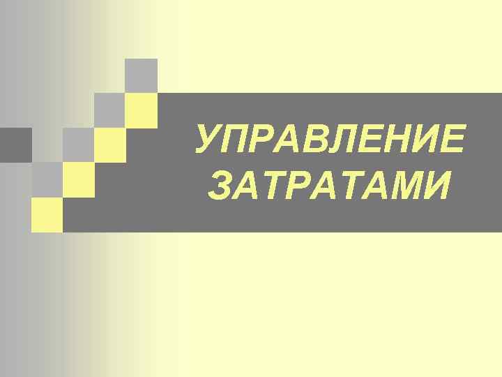УПРАВЛЕНИЕ ЗАТРАТАМИ 