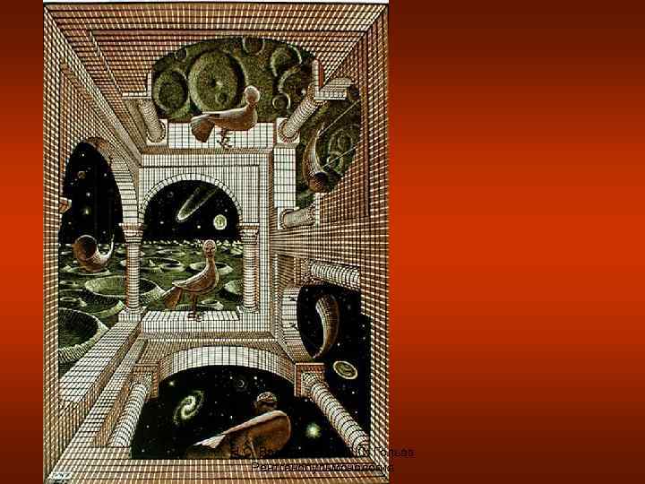 Н. С. Воротынцева, С. С. Гольев Рентгенопульмонология 