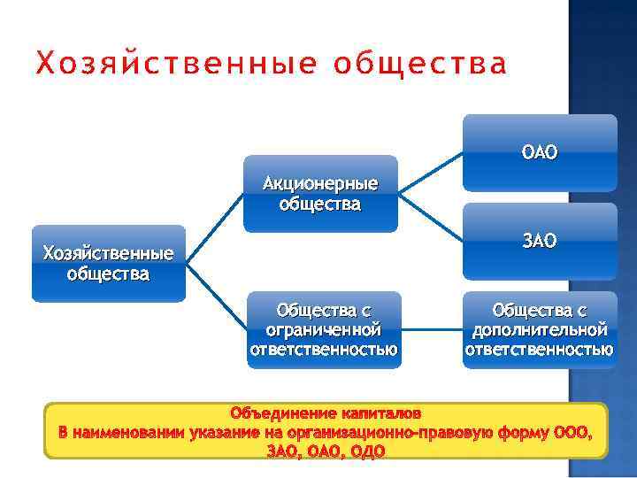 ОАО Акционерные общества ЗАО Хозяйственные общества Общества с ограниченной ответственностью Общества с дополнительной ответственностью