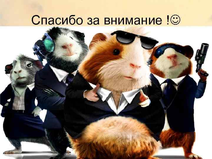 Спасибо за внимание ! 15 