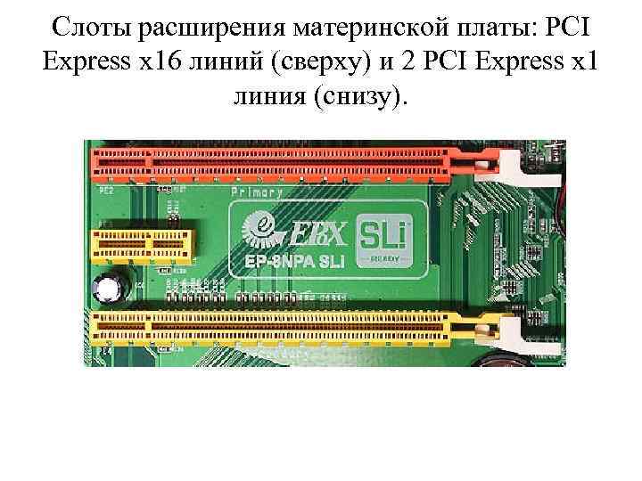 Слоты расширения материнской платы: PCI Express x 16 линий (сверху) и 2 PCI Express