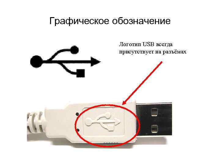 Графическое обозначение Логотип USB всегда присутствует на разъёмах 