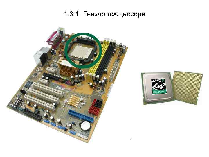 1. 3. 1. Гнездо процессора 