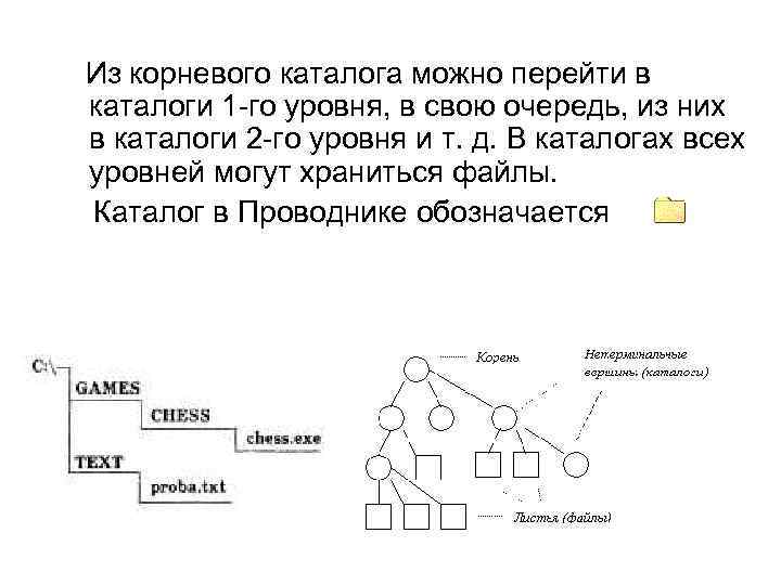  Из корневого каталога можно перейти в каталоги 1 -го уровня, в свою очередь,