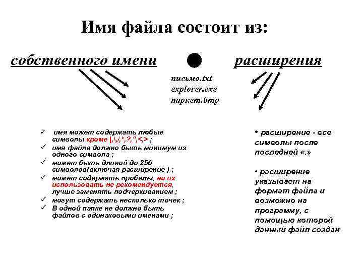 Имя файла состоит из: собственного имени расширения письмо. txt explorer. exe паркет. bmp ü
