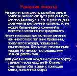 Ранения живота На месте происшествия любую рану в области живота следует расценивать как проникающую.