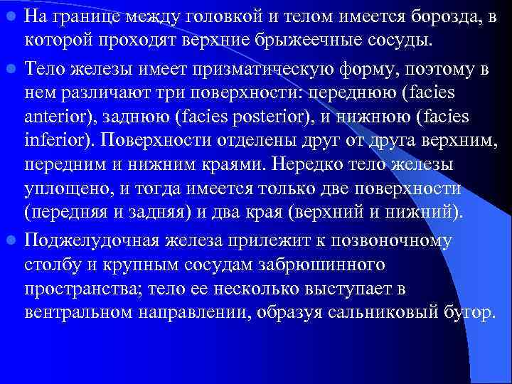 На границе между головкой и телом имеется борозда, в которой проходят верхние брыжеечные сосуды.