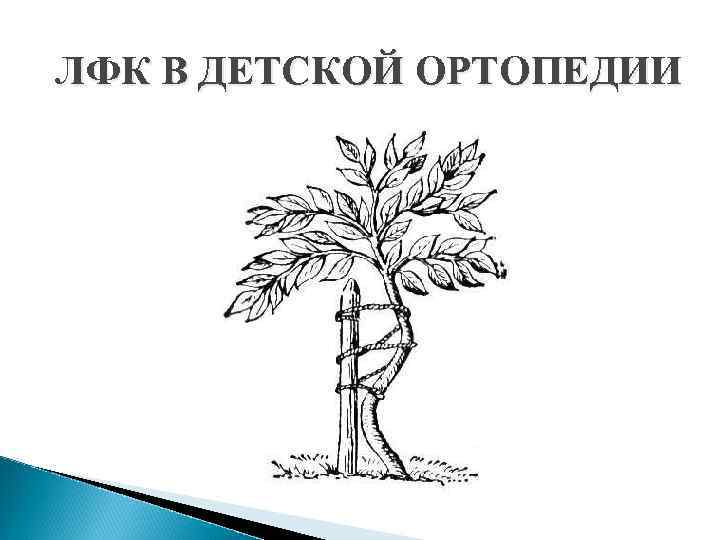 ЛФК В ДЕТСКОЙ ОРТОПЕДИИ 