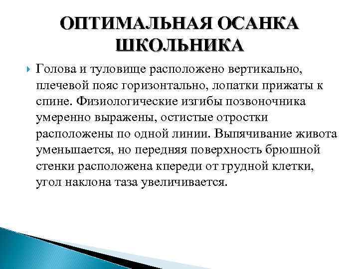 ОПТИМАЛЬНАЯ ОСАНКА ШКОЛЬНИКА Голова и туловище расположено вертикально, плечевой пояс горизонтально, лопатки прижаты к