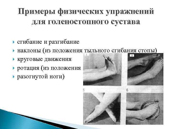 Примеры физических упражнений для голеностопного сустава сгибание и разгибание наклоны (из положения тыльного сгибания