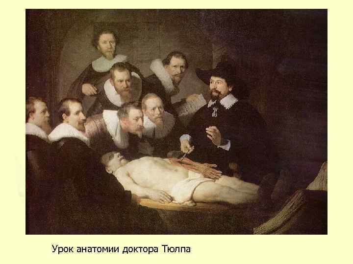 Урок анатомии доктора Тюлпа 